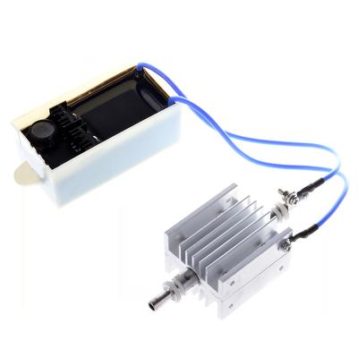 China Home use 12 V DC 110V-220V cornoa 500mg/h discharge ozone module 304 SS optional electrode for sale