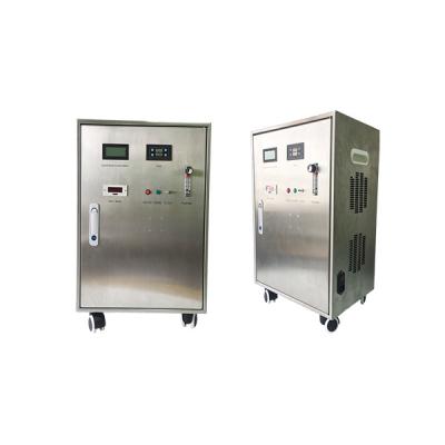 China Hotels Quartz Tube And 316 SS Electrode Ozone Food Sterilizer for sale