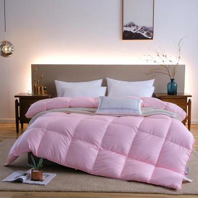 China Amazon Wholesale New Nondisposable Hilton Comforter Soft Full And Breathable Quilted Alternative Comforter for sale