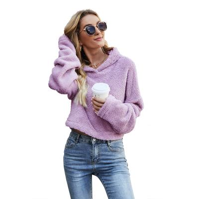 China New Design Autumn Street Fashion Casual Solid Hoodies Clothing Breathable Loose Coat Hoodie For Women for sale