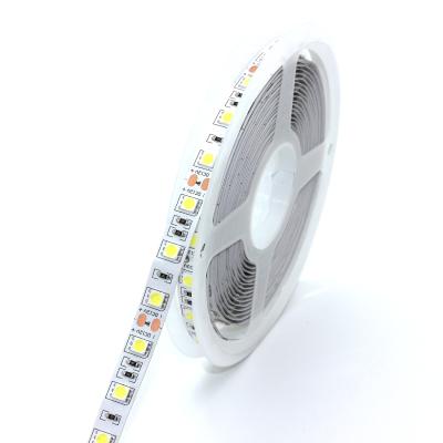 China Promotional indoor and outdoor outdoor decoration home decor 5050smd dc12v led white strip light for sale