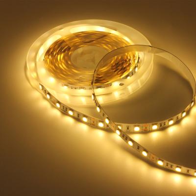 China Indoor and outdoor competitive decoration power supply 12V smd 5050 waterproof LED strip with 60 lights per meter for sale