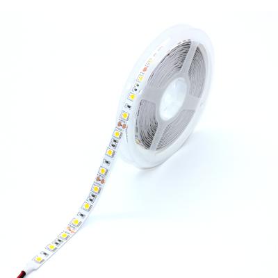 China Indoor and outdoor decoration promotional high end 5050 smd led strip exquisite waterproof led strip light for sale