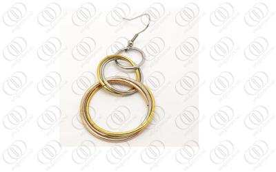 China Fashion Stainless Steel Earrings , Gold and Silver Round Hoop earrings for sale