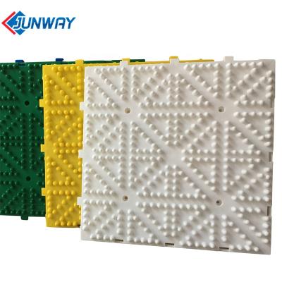 China Multifunctional Interlocking Summer Ski Setup Snowless Skiing Slope Dry Tile Snow Mat for sale