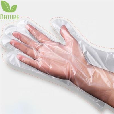 China factory outlet cheap transparent gloves poly disposable pe household gloves ec compliant for sale