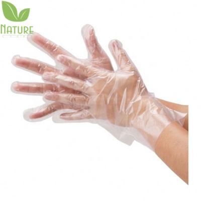 China high quality household food compostable biodegradable plastic disposable clear prep EC compliant gloved for sale