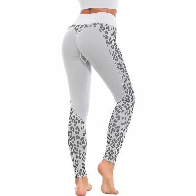 China Breathable Sexy Leopard Print Moisture Yoga Pants Ladies Fitness Yoga Pants Ladies High Waist Wicking Gaiters for sale