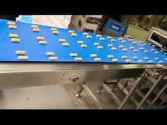 Large capacity multiple rows  Chocolate date bar production line