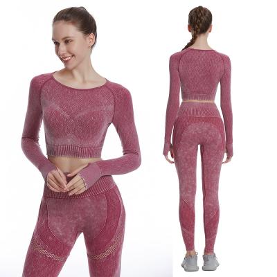 China Custom Logo Gym Sports Wear Women Breathable Workout Gear Seamless 2 Piece Yoga Suit Sports Crop Top Long Sleeve With Gaiter Sets for sale