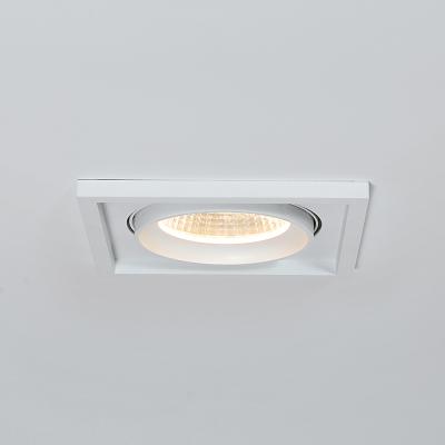 China 30 degree tilt & 355 Degree Rotate Modern Style 30W Square Single Head Adjustable Commercial For Indoor Use Recessed LED Downlight for sale