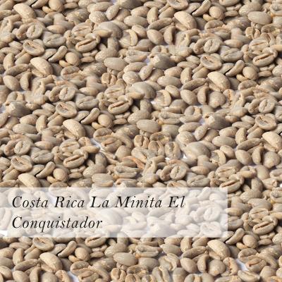 China Wholesale Costa Rican La Minita El Conquistador Green Coffee Arabica Beans For Sale UNDETERMINED for sale