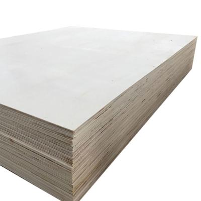 China exterior bleached poplar plywood/furniture plywood for sale