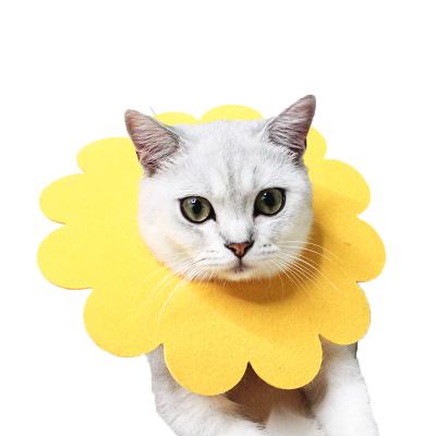 China Small Cat Protective Wound Healing Elizabethan Anti Bite Recovery Collar 5pcs/set Sunflower E-Collar Cute Viable Shape For Pet for sale