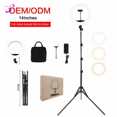 China 3 Inch Phone Holders Carry Bag Selfie 21 PORTABLE Ring Lamp Cosmetic Studio Photography Led Light For Camera Fill for sale