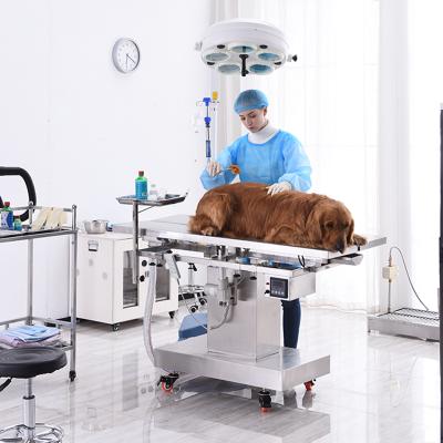 China Pet Grooming Pet Clinic Equipment Veterinary Pet Grooming Pet Veterinary Surgical Operation Table for sale