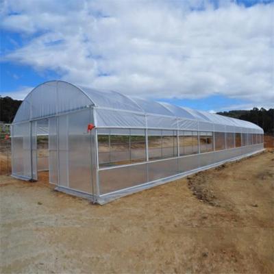 China Easily Assembled Good Quality Agricultural Film Propeller PE Single Span Greenhouse for sale