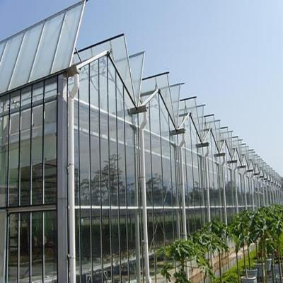 China To undertake installation commercial agricultural glass greenhouse for flower and vegetables for sale