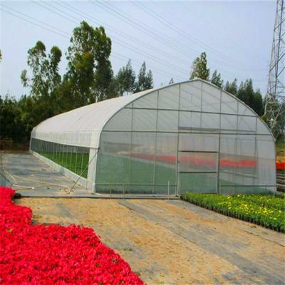 China PE Propeller Single-Span Greenhouses For Plastic Vegetables Greenhouse for sale