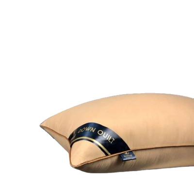 China Home Textiles Various Color Smooth Skin Color Anti-Static Touch 48*74 Cm Friendly Ware Pillow Filled for sale