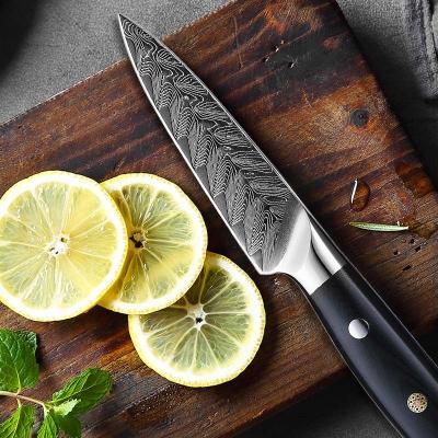 China Custom 3.5 Inch 67 Layer Damascus Kitchen Premium High Carbon Steel Paring Knife Fixed Blade OEM Quality Viable Logo Fixed Blade Japanese for sale