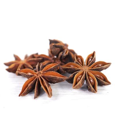 China Dried Organic Star Anise - HPS Hand Picked Good Quality Whole Stars for sale