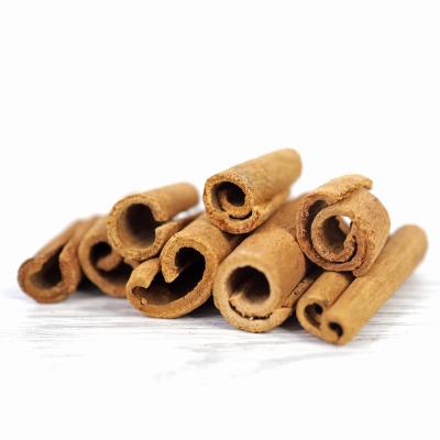 China Dry cinnamon stick - 2-3cm cut cinnamon sticks for sale