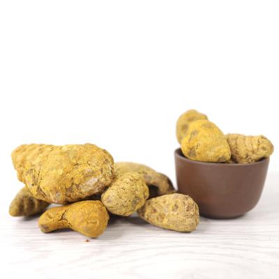 China Dry Turmeric Round - Whole Turmeric Root for sale