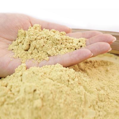 China Dry Ginger Powder - High Quality Grinded Ginger Powder for sale