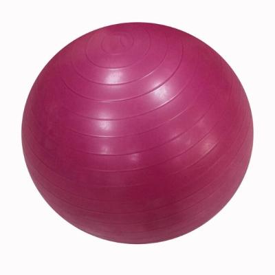 China Round High Quality PVC Exercise Balls And Accessories With Custom Logo for sale