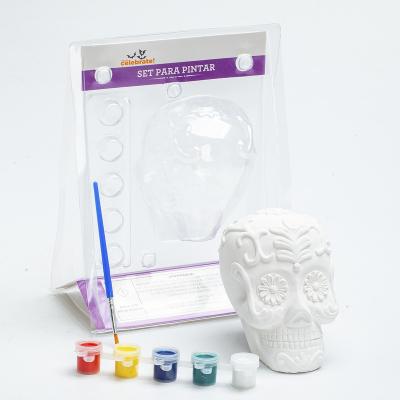 China Early Years Educational Creative Design Children Factory Supply Equipment DIY Plaster Toys For Skull Anatomy Study for sale