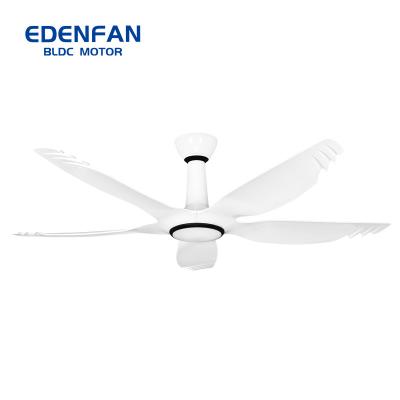 China With Best DC Motor Lightweight Remote Control Ceiling Fan Light 5 Fan Blades Electric Fan for Household and Office for sale