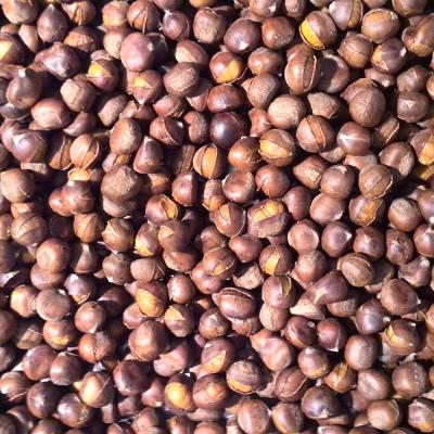 China Low Fat Organic Frozen Ringent Cooked Chestnut for sale