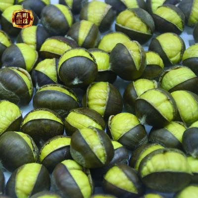 China 2020 Hot Sale Organic Frozen Roasted Chestnut Ringent Low Fat for sale