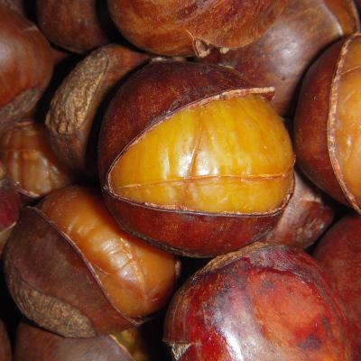 China 2022 Hot Selling Low Fat Organic Frozen Chinese Roasted Chestnuts Ringent for sale