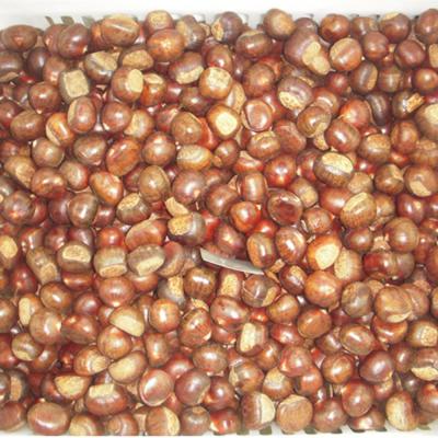 China 2020 low fat sweet fresh raw chestnuts for sale