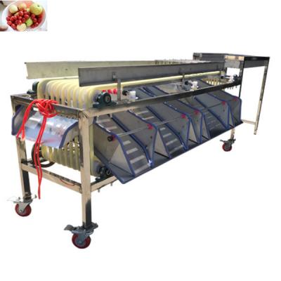 China Track Type Sweet Potato Grading Snack Plant Stainless Steel Manufacturing Machine for sale