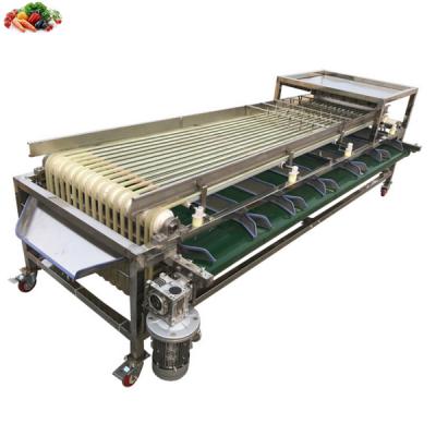 China Manufacturing Track Type Snack Factory Stainless Steel Fruit Classifying Machine for sale