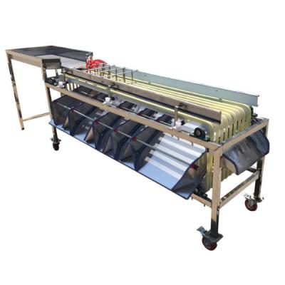 China Track Type Fruit Grader Snack Plant Stainless Steel Manufacturing Machine for sale