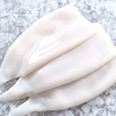 China Low-CARB Grade A Squid Tube U3 U5 U10 for sale