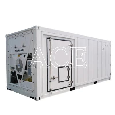 China Dual Temperature 2-Room ISO 20ft Marine Refrigerated Container ISO Certified Aluminium Deep Freezers with Corten Steel for sale