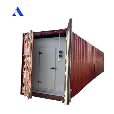 Cina R134a/R404A Frigorifero 12m Lunghezza 60 cbm 40ft Contenitore frigorifero Reefer Camera fredda Stoccaggio Pavimento T-Bar in alluminio durevole in vendita