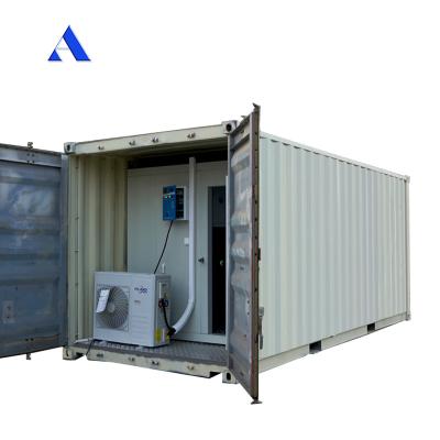 Cina 20ft Reefer Container Cold Storage Room con pavimento in T-Bar in alluminio e refrigerante R134a/R404A in vendita