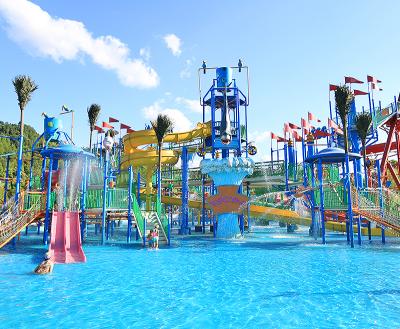 China DAXIN water park study drawing theme park outdoor or indoor water park slides North Africa for sale