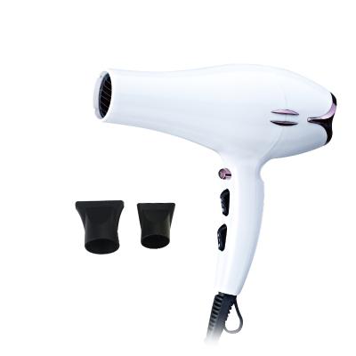 China Ionic Fashion Styling Hair Dryer Hair Styling is very easy and convenient professional hair dryer for sale