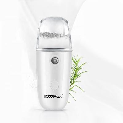 China Skin Rejuvenation 2020 Hottest Products Mini Nano Mist Sprayer Handheld Cordless /Cordless Mini Handheld Nano Gun for sale