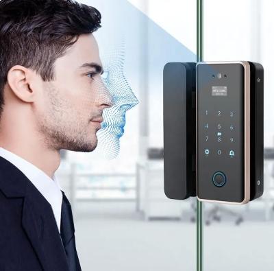 China Office Tuya App Door Lock Wireless Biometric High Security Password Glass Door Lock zu verkaufen