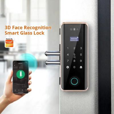 China Intelligent Biometric 3D Face Recognition Door Lock Doorbell Full Auto For Glass Door zu verkaufen