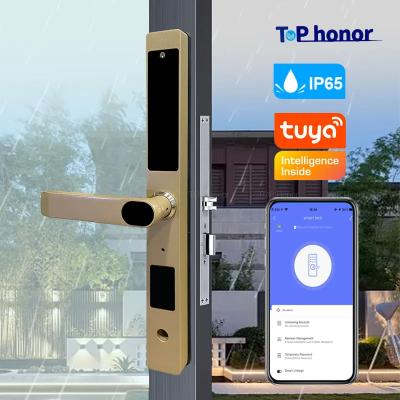 China Gold Bridge Cut Tuya App Door Lock Remote Control Fingerprint Code Card Key Lock zu verkaufen