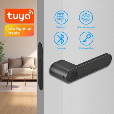 中国 Apartment Smart Fingerprint Door Lock Intelligent Biometric Black Aviation Aluminium 販売のため